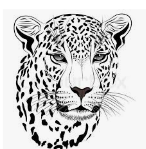 كبريت درج شيتا